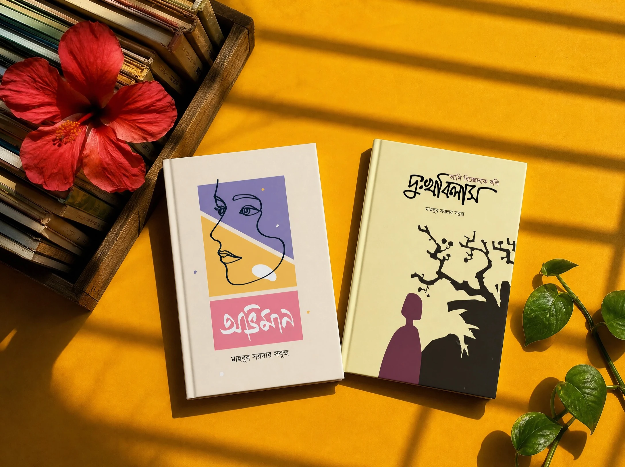 অনুভূতি ও আমি বিচ্ছেদকে বলি দুঃখবিলাস — বইয়ের যুগল ফ্রেম — মাহবুব সরদার সবুজ